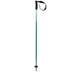 Volkl Junior Phantastick 스키 폴 2023 그린 110