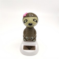 나무늘보가사는숲에서