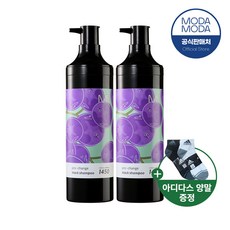 모다모다 프로 체인지 블랙 샤또 1450 에디션 자연염색 샴푸 300g 2개_양말 증정, 2개
