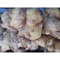 국내산안동햇생강슬라이스진공포장1kg