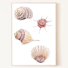 조개일러스트