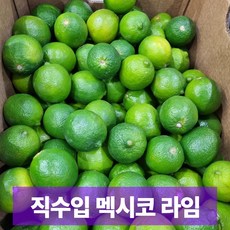 도매가 일등농수산 프리미엄 멕시코 생라임, 1개, 10과 (1kg내외) 대과