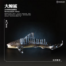 범고래백상아리