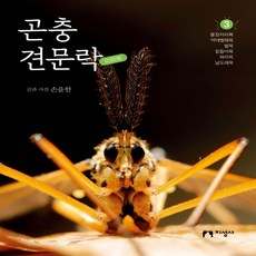 날도래