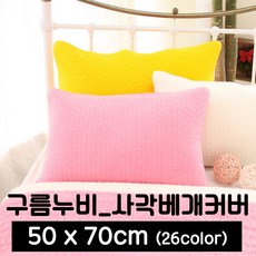 포근포그미2인용베게솜