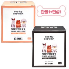 고양원데이클래스