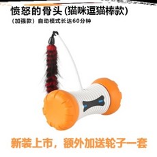 반려동물펫푸드스타일리스트