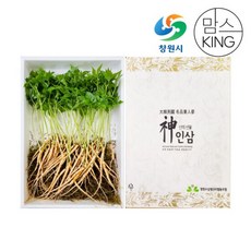 [창원몰]잎인삼파크 새싹삼 대(24CM이상) 50뿌리 선물세트, 단품