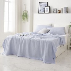 박홍근인견삼중직스프레드