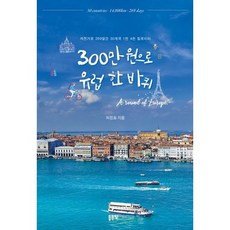 스드메300만원