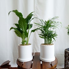 14e73c11006cd7757932d8d22a7783ddcbac9e3100dcb373d5c76e07cb01.jpg