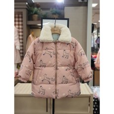 ckjd21t1b