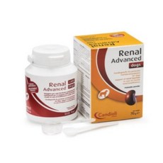 레날어드밴스드독