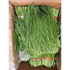 부추 1kg 2kg, 미참여, 1개