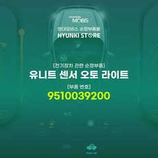 오토라이트배선