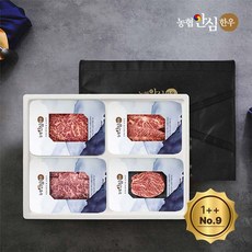 [농협안심한우] 1++등급(9) 한우 구이선물세트 1.2kg (등심300g+부채300g+안심300g+살치300g), 1개