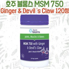 블룸스 MSM 750 Ginger & Devil 's Claw 120정 생강 데빌클라우, 1개