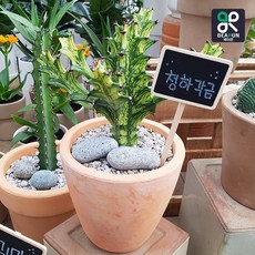 청하각