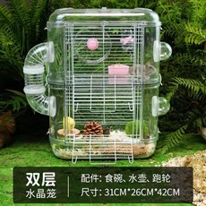 보라펫리빙박스
