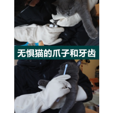 5572a5aedb4bca091007c61e9a3ca1acbfd7ffef3384d9ad835fe09abbac.png