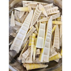 [식약용산야초농장] 경북 대나무밭 2024 햇죽순 삶은분죽, 1개, 3kg