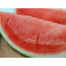 비파괴스캐너국산