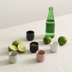 옳음 소주잔 5P, 단품, 5개