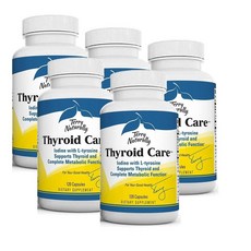 테리 내추럴리 싸이로이드 케어 요오드 L 티로신 캡슐 Terry Naturally Thyroid Care, 5개, 120정