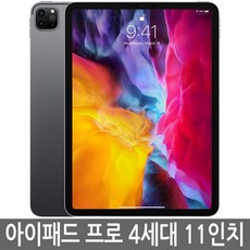 아이패드 프로 4세대(2세대) 11인치 128GB 256GB 정품, 와이파이