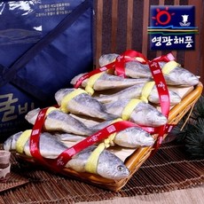 딱돔