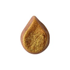 러쉬써니사이드