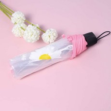 데이지투명우산