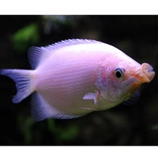5f071d96916b51241235ed84f9ed170dde797958805af107ccbf098e4001.jpg