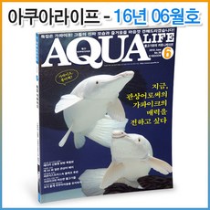 아쿠아라이프 2016년 06월호