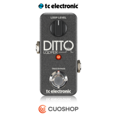 TC Electronic DITTO Looper 디토 루퍼 이펙터, Pedal_Ditto