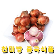네덜란드샬롯