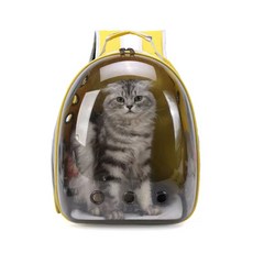 애원 동물 강아지 고양이 외출 가방, 1개, 레드