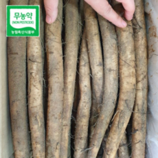 국산 무농약 우엉 속이 알찬 통우엉 2kg, 무농약 우엉2kg (반찬용), 1개