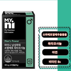 일동제약 마이니 남성파워 쏘팔메토 옥타코사놀 500mg 60캡슐 활력 전립선, 1개, 60정