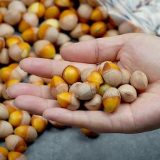 깐은행 500g(특)x2, 2개