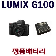 루믹스g100