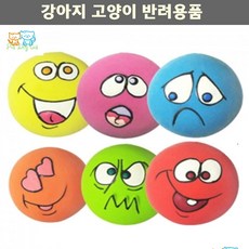 바람펫피트니스프로