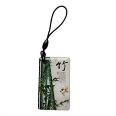 재기록 가능 RFID 블랭크 칩 만화 글자 배지 키 EM4305 T5577 Keyfob 토큰 태그 125Khz 액세스 제어 카드용, [09] cyan, 1개
