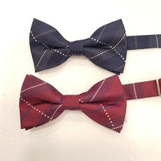 백화점나비넥타이