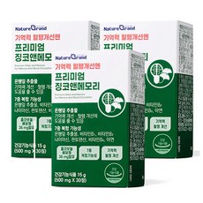 프리미엄 징코 빌로바 은행잎추출물 영양제 혈행 기억력 개선 식약처인증, 3박스, 30정