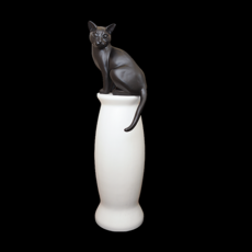 c3d0821b897aaedac35075d4f967be98d4ed2ccb65ec280ec373118ea8ba.png