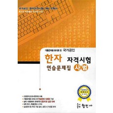 기출문제를 토대로 한 한자 자격시험 연습문제집(사범)(국가공인)(8절), 형민사