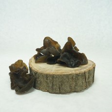 파머스마일 반찬용 숙회용 목이버섯, 1개, 생물 800g