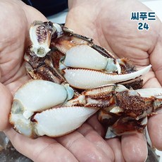 국내산 제주도 황게다리 1kg 30미내외 육수용 냉동황게, 1kg 30내외