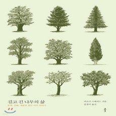 가시나무새책